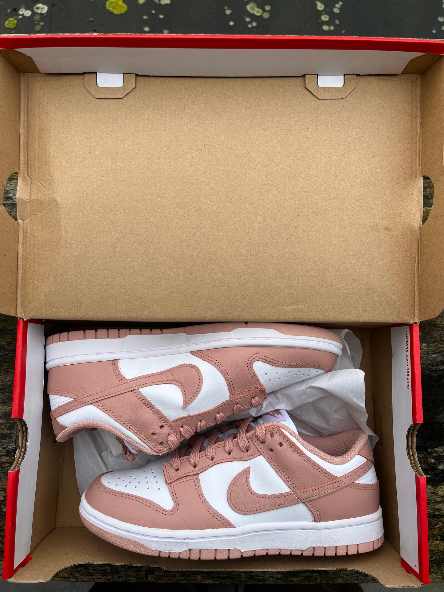 Nike Dunk Rose Whisper