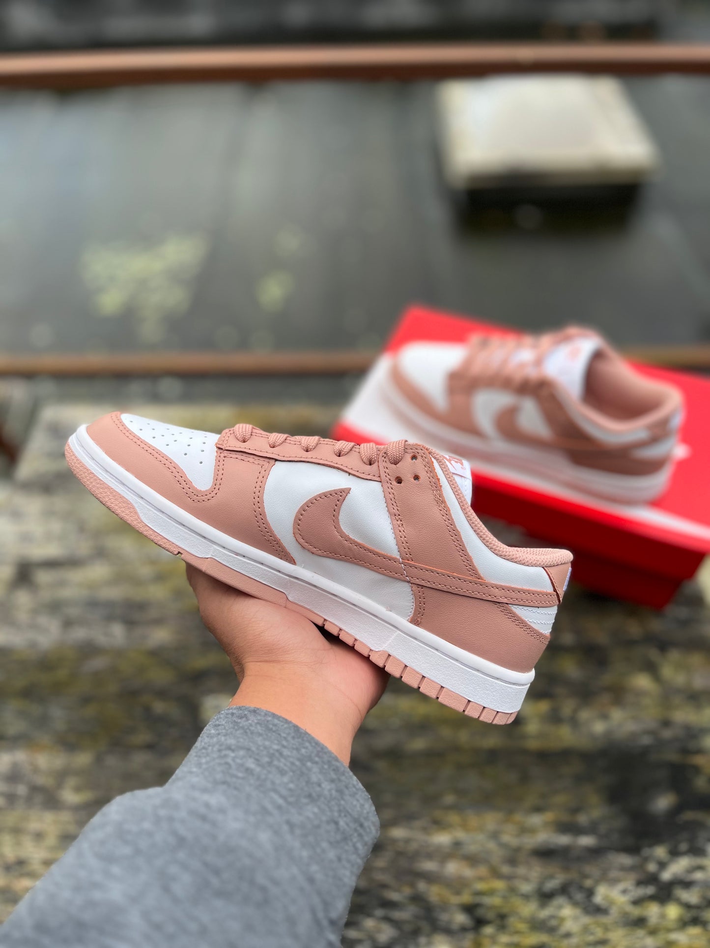 Nike Dunk Rose Whisper