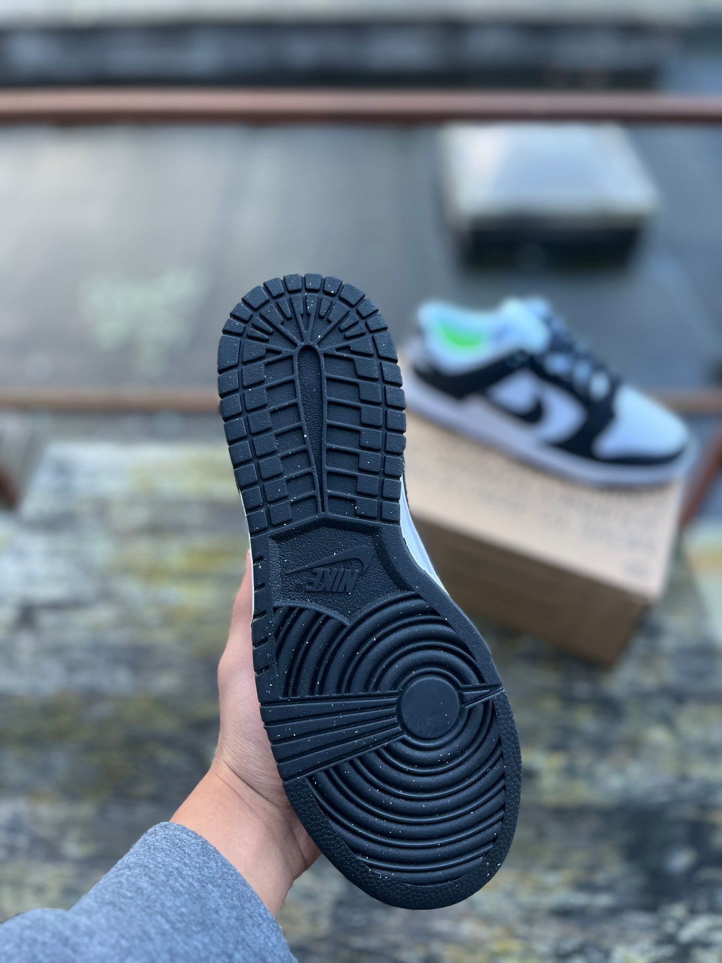 Nike Dunk Next Nature Panda