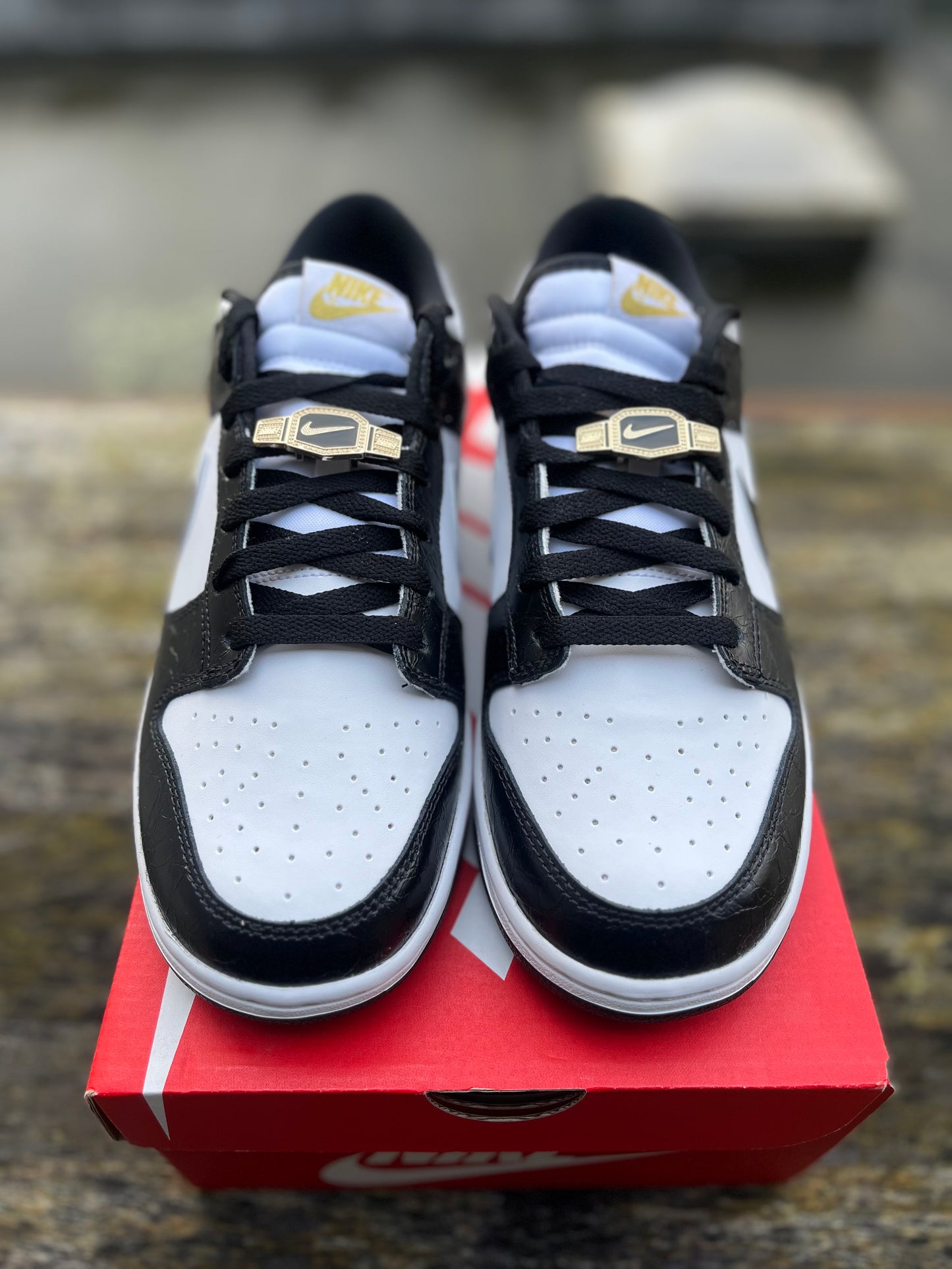 Nike Dunk World Champ SE