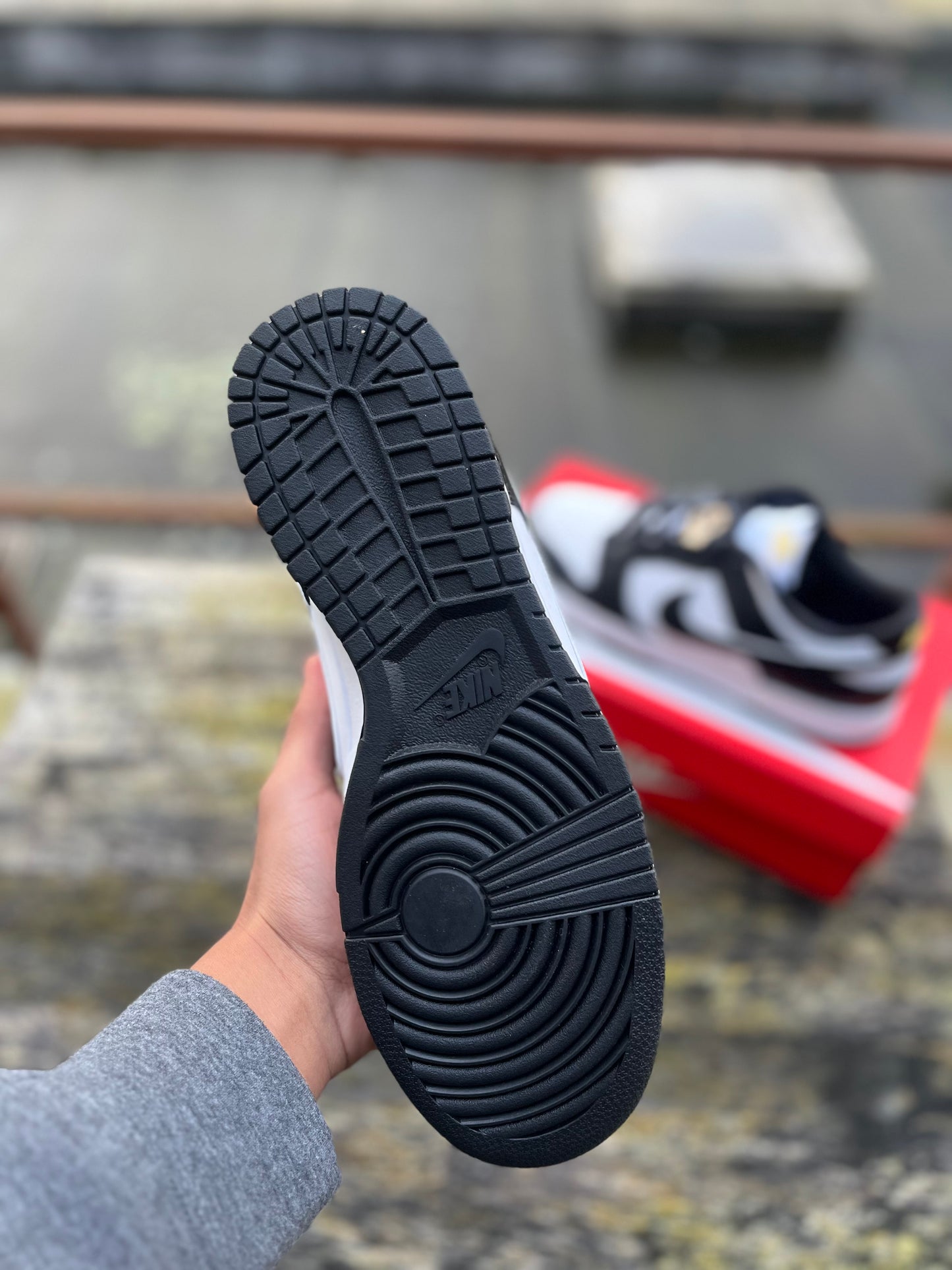 Nike Dunk World Champ SE