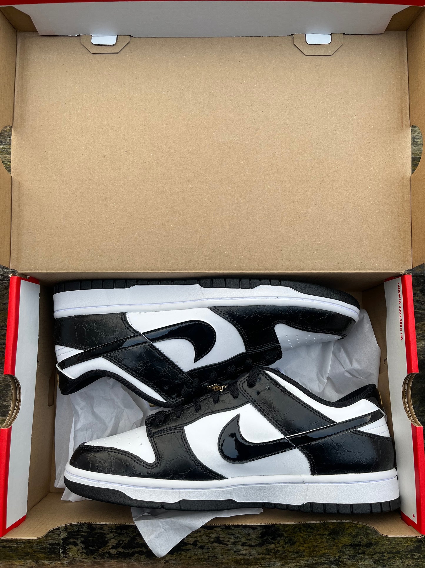 Nike Dunk World Champ SE