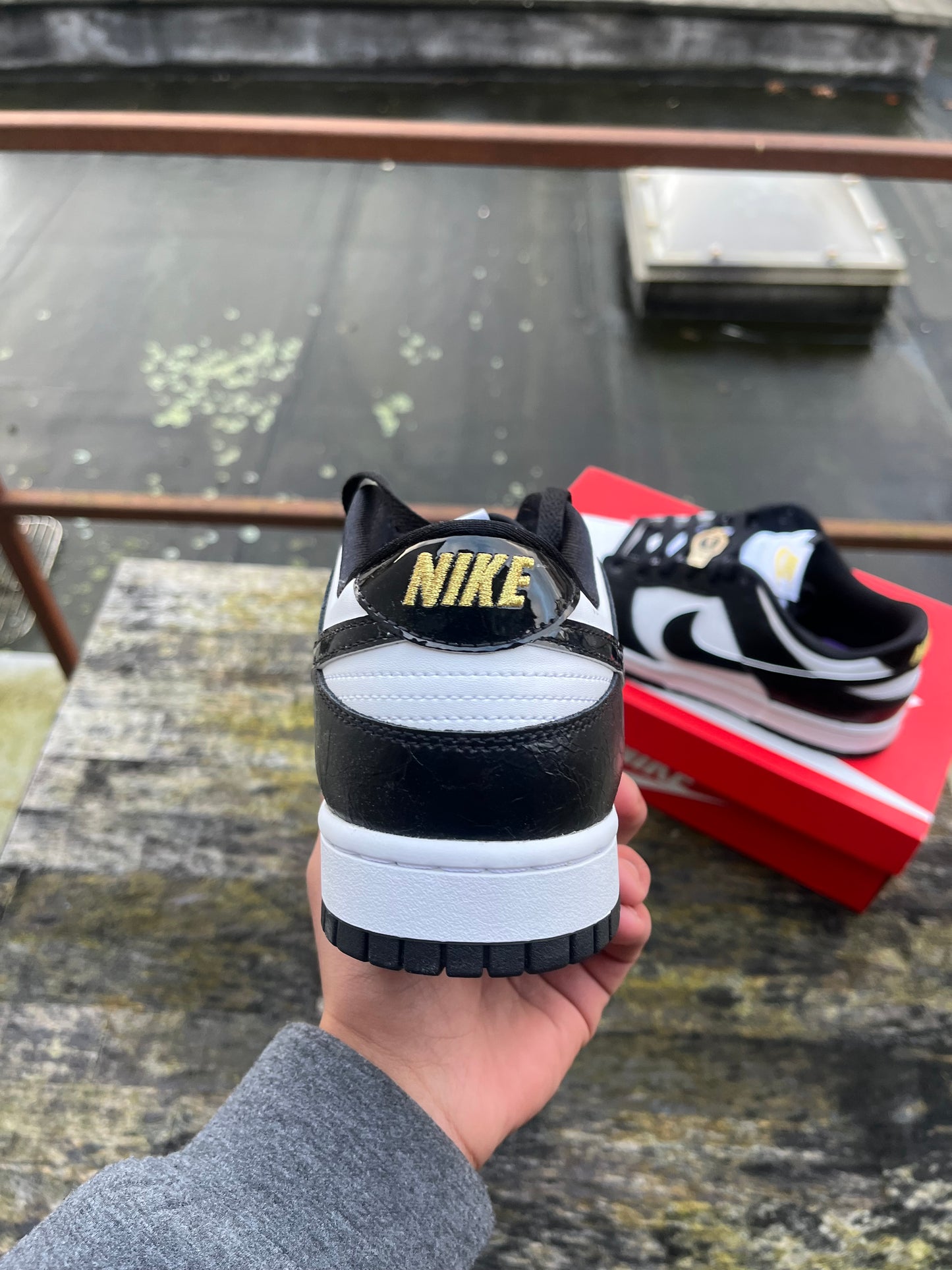 Nike Dunk World Champ SE