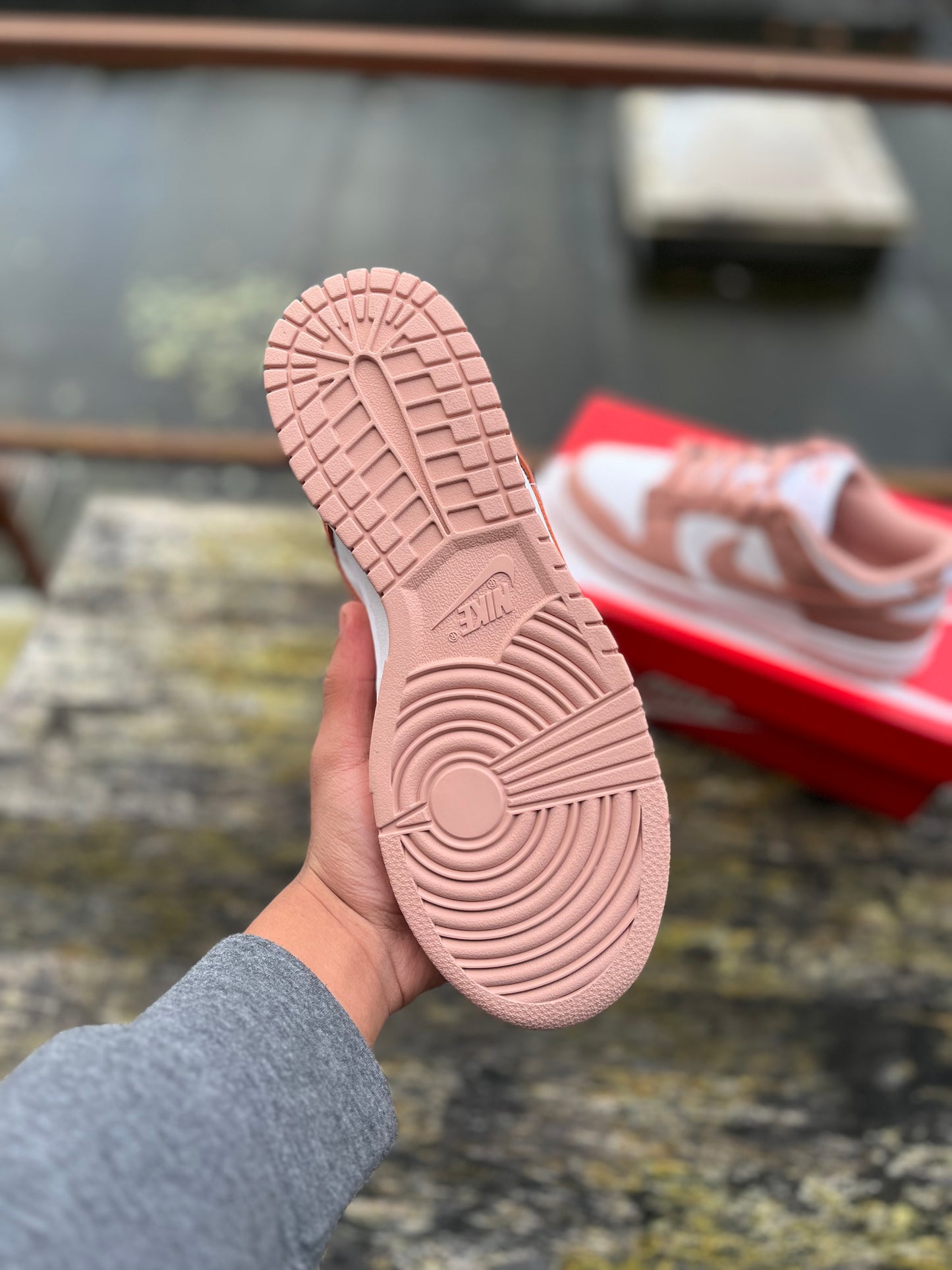Nike Dunk Rose Whisper